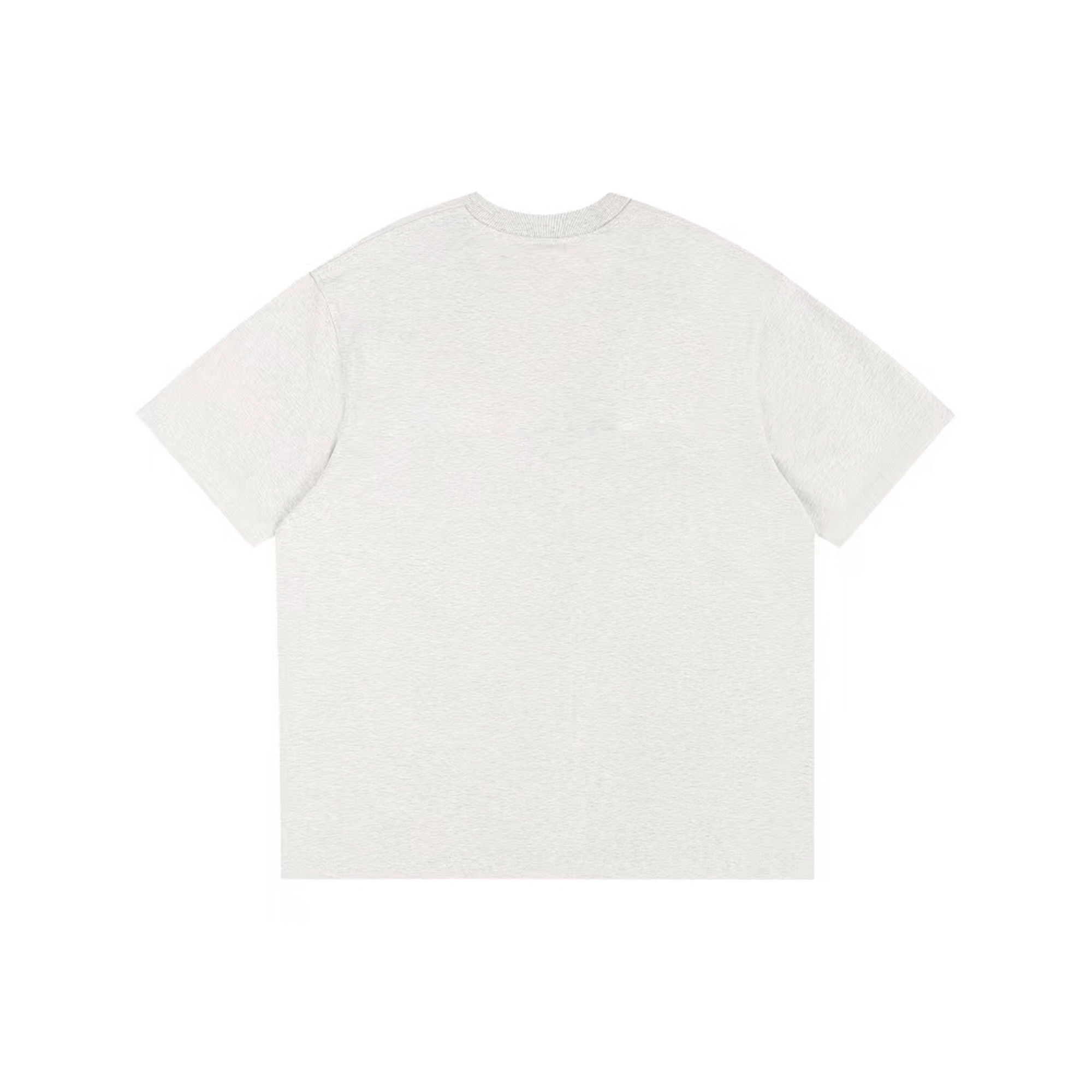 PUNCTILIOUS T
