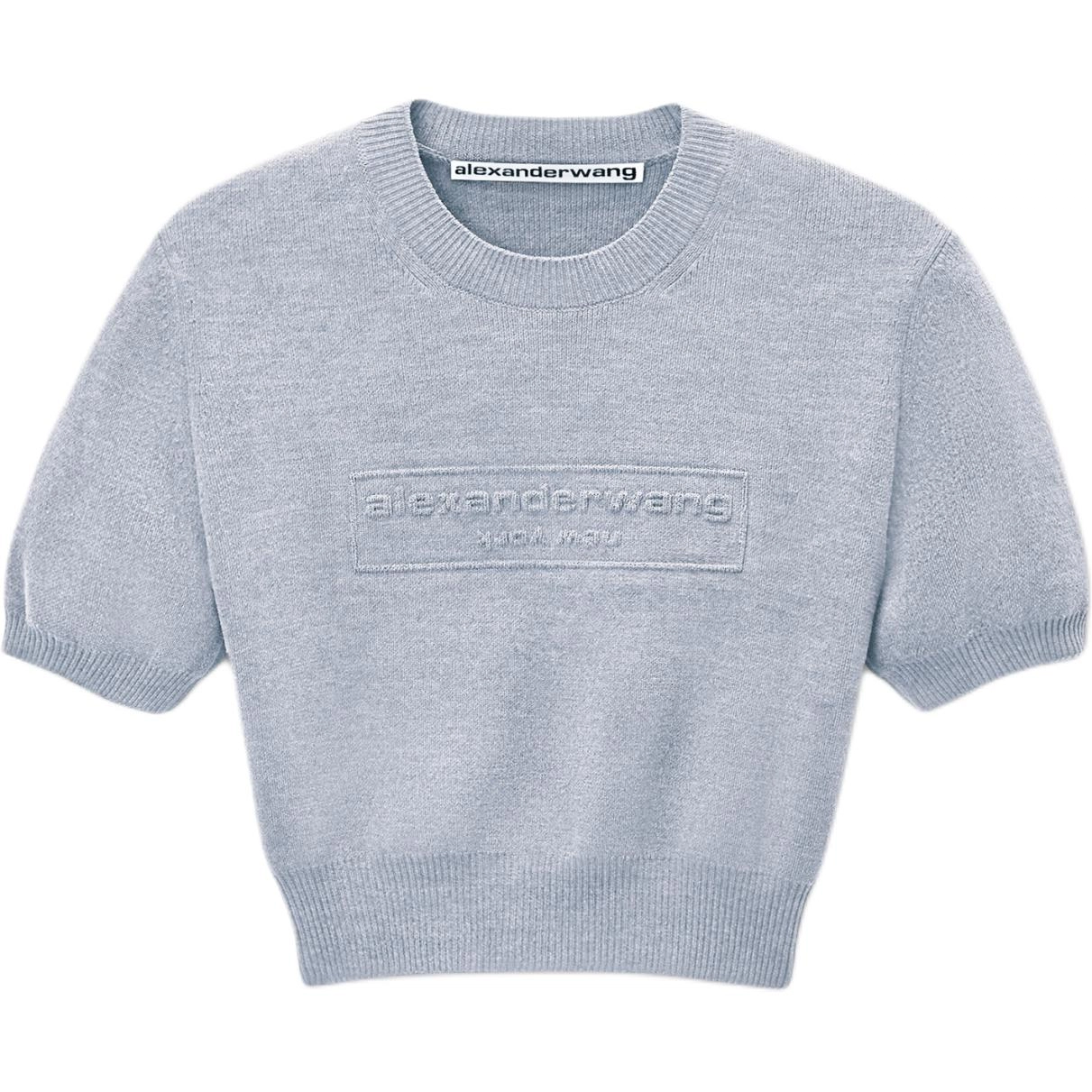 alexander wang FW25 T
