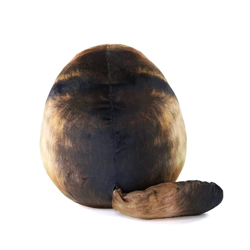 30cm33cm35cm