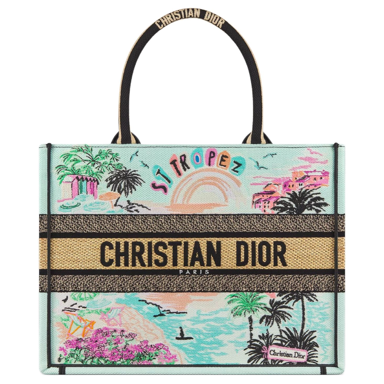 DIOR BookTote Tote