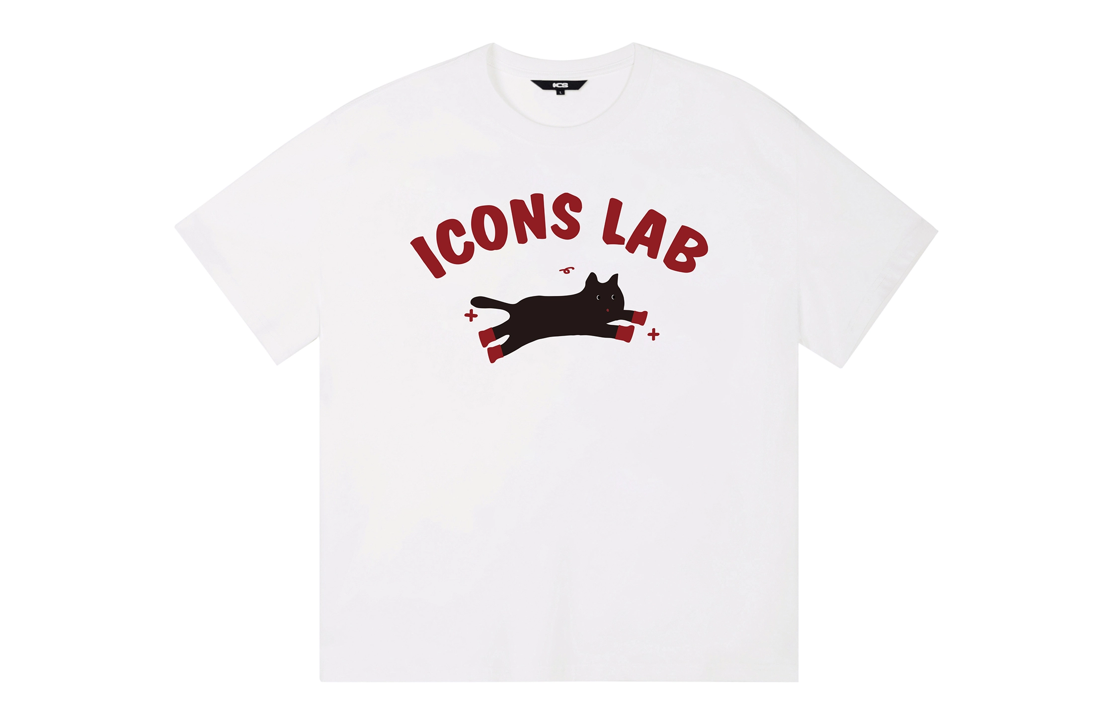 ICONS Lab ICS T