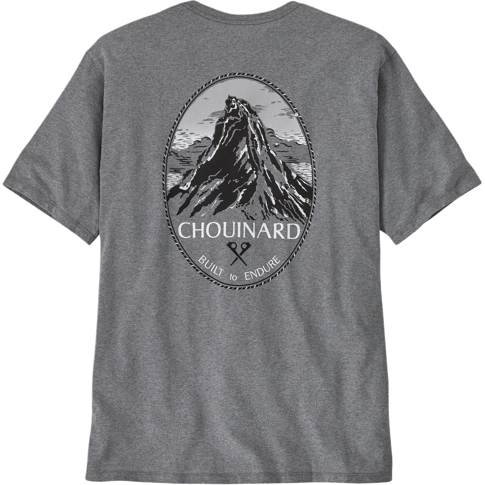 patagonia T