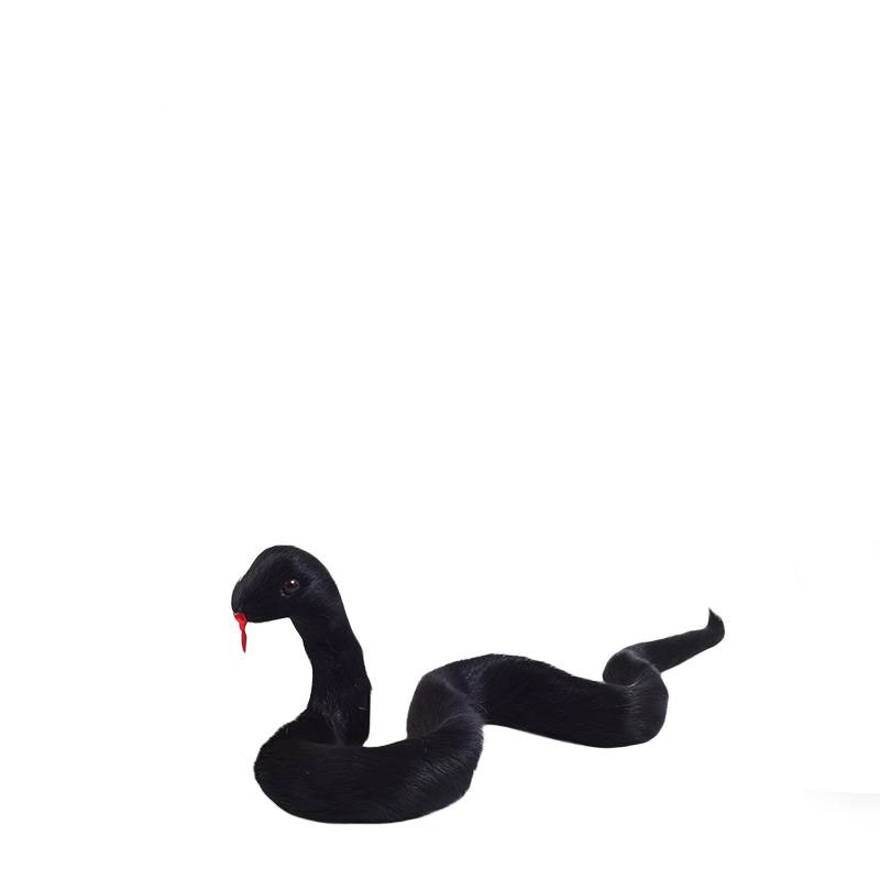 26cm