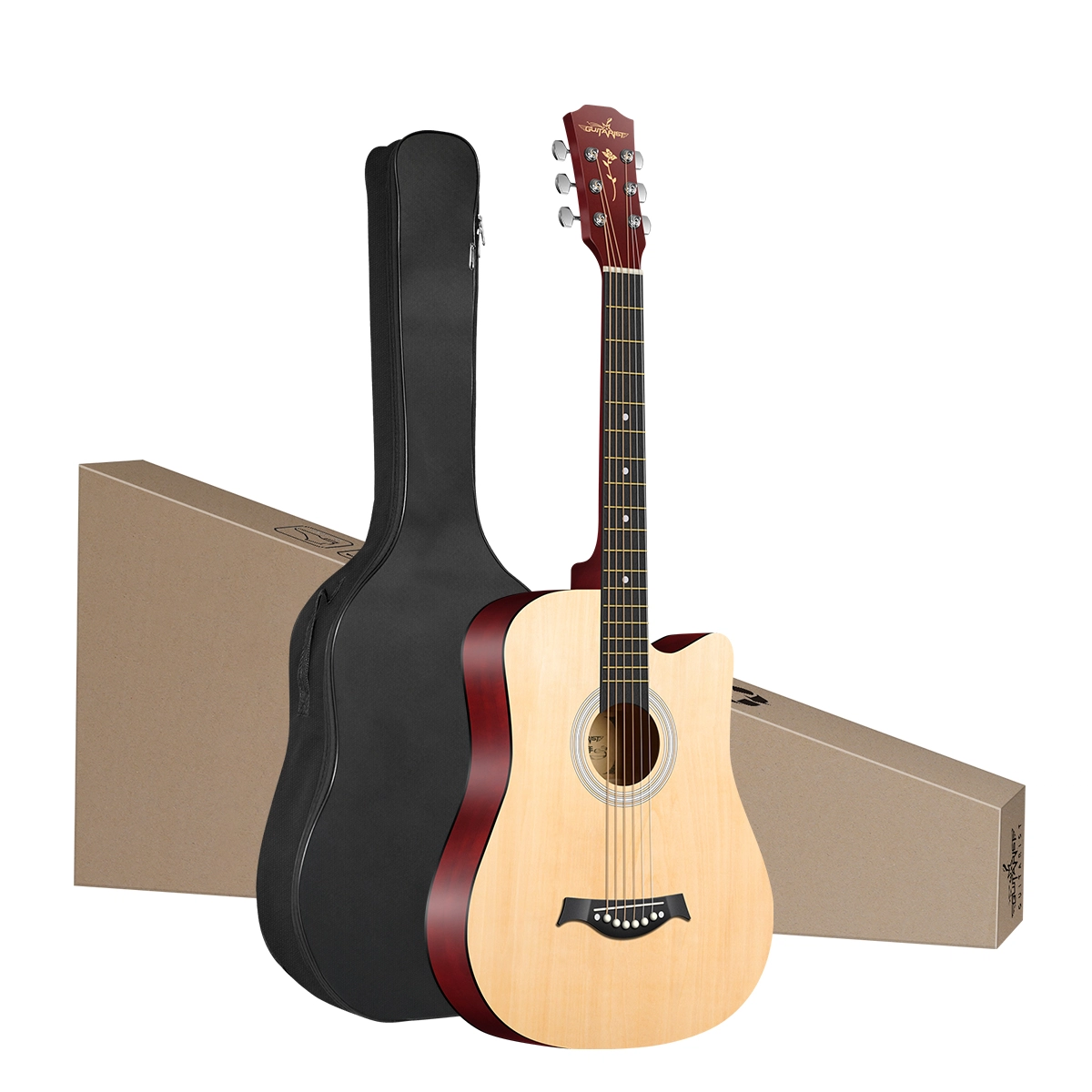 Guitarist V600 3841