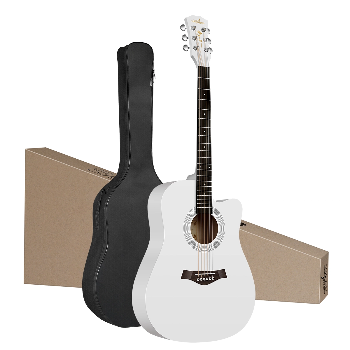 Guitarist V600 3841