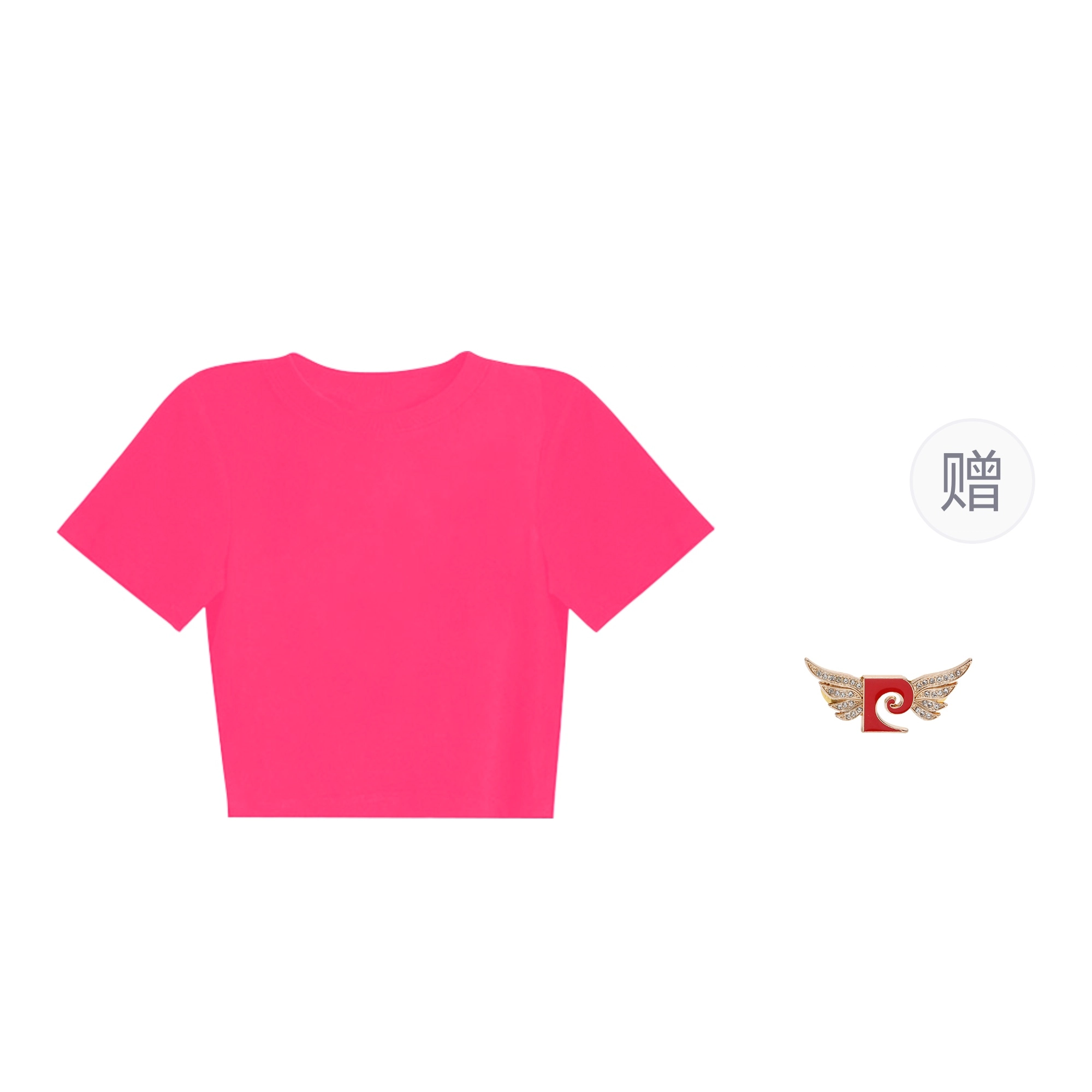PIERRE CARDIN T