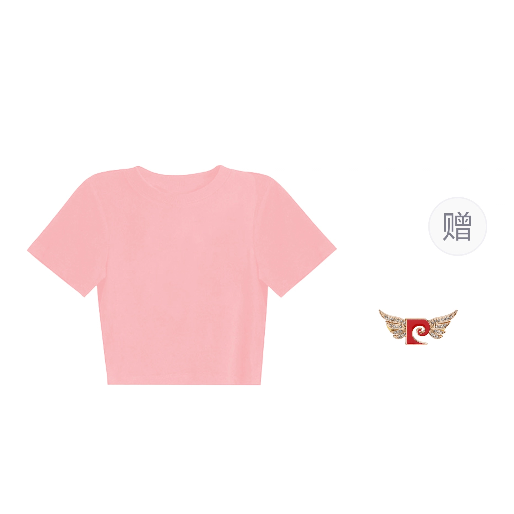 PIERRE CARDIN T