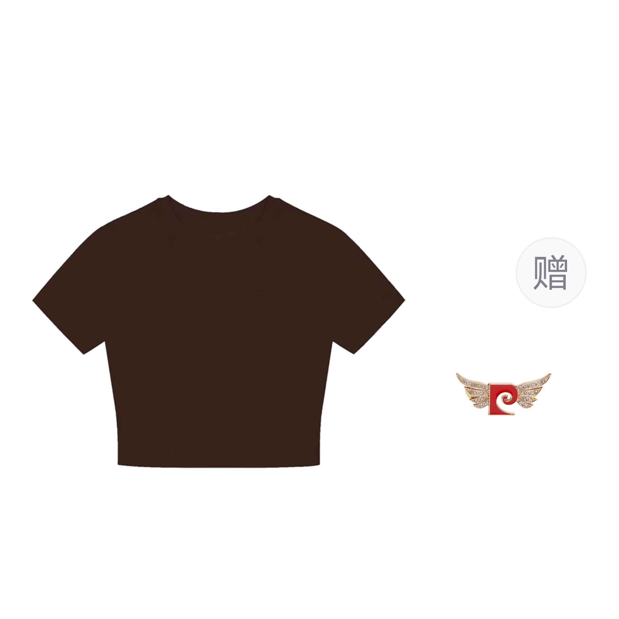 PIERRE CARDIN T