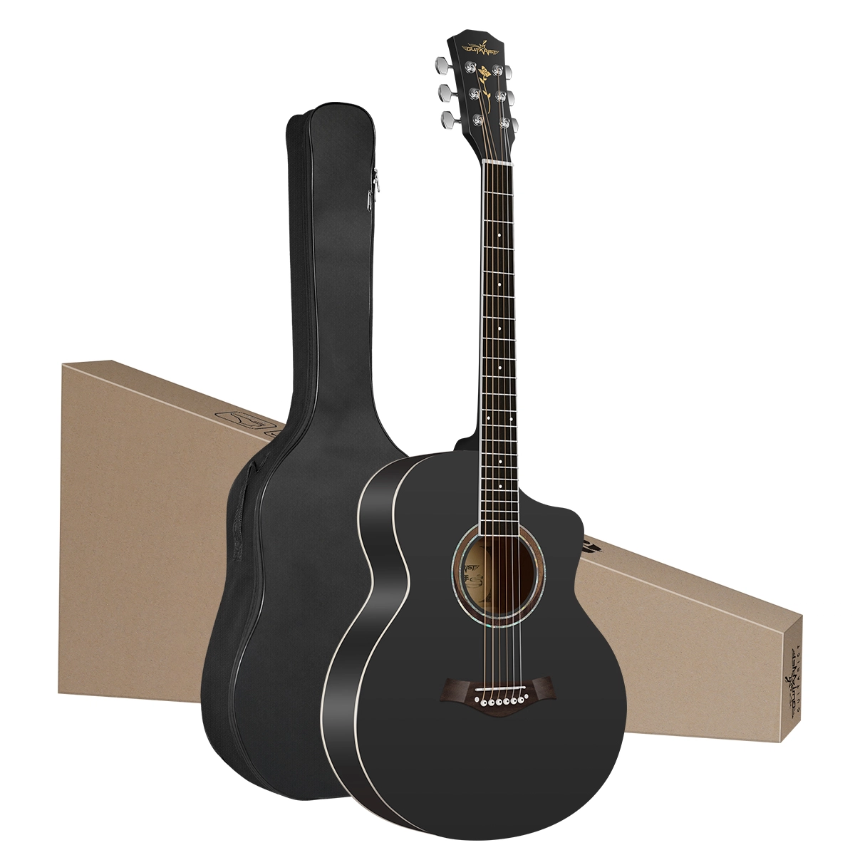 Guitarist V600 3841