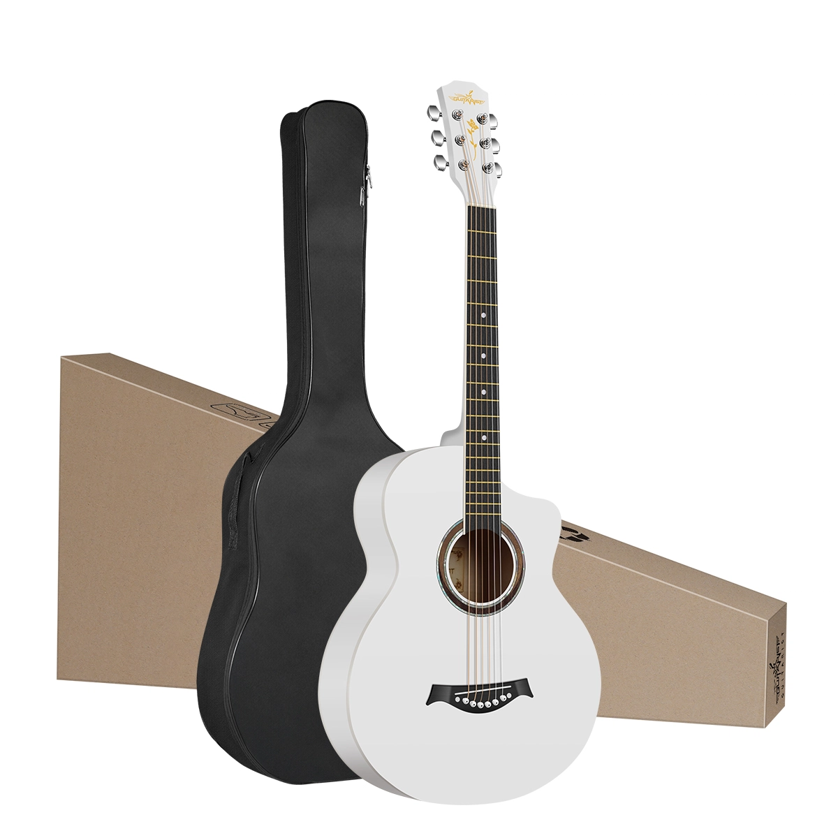 Guitarist V600 3841