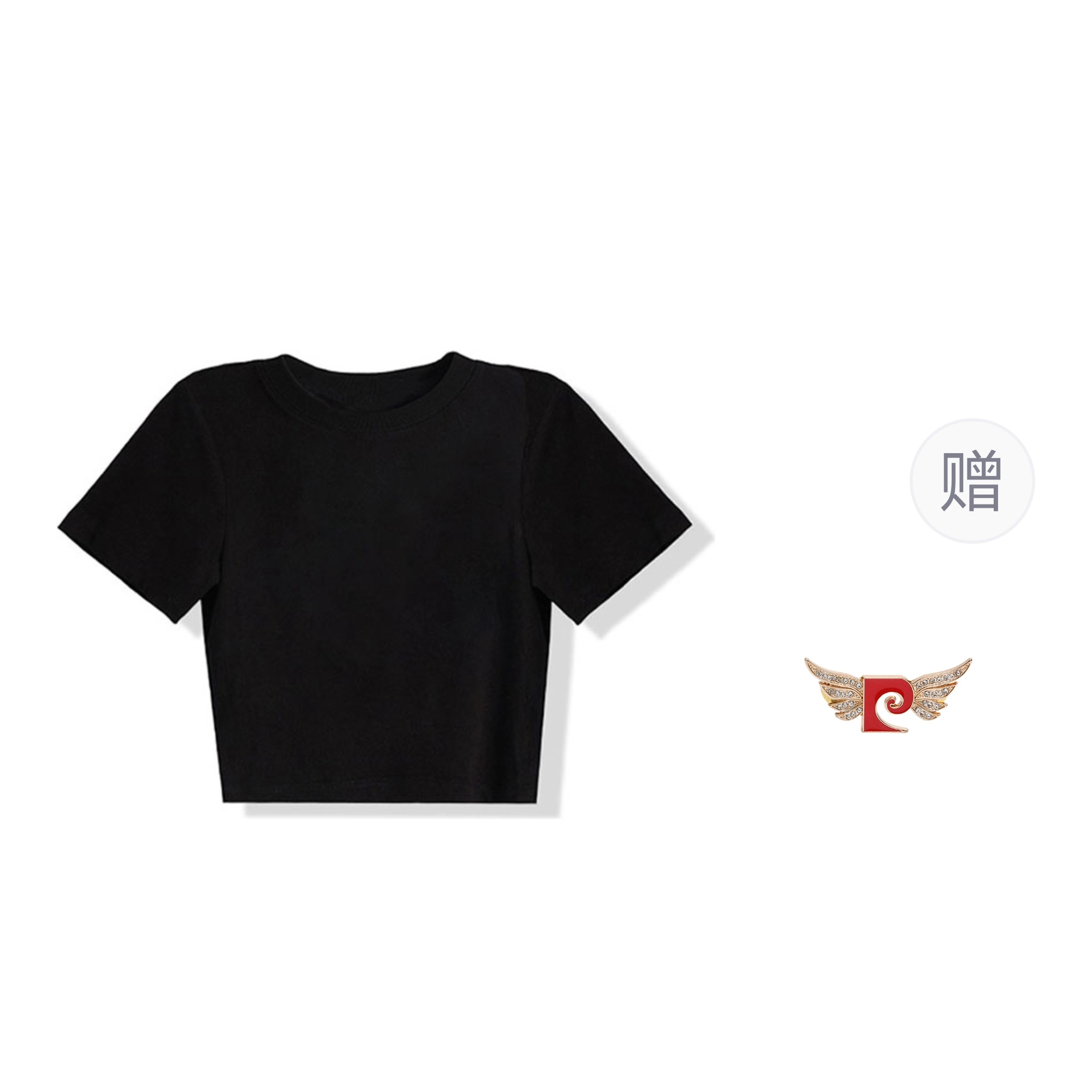 PIERRE CARDIN T