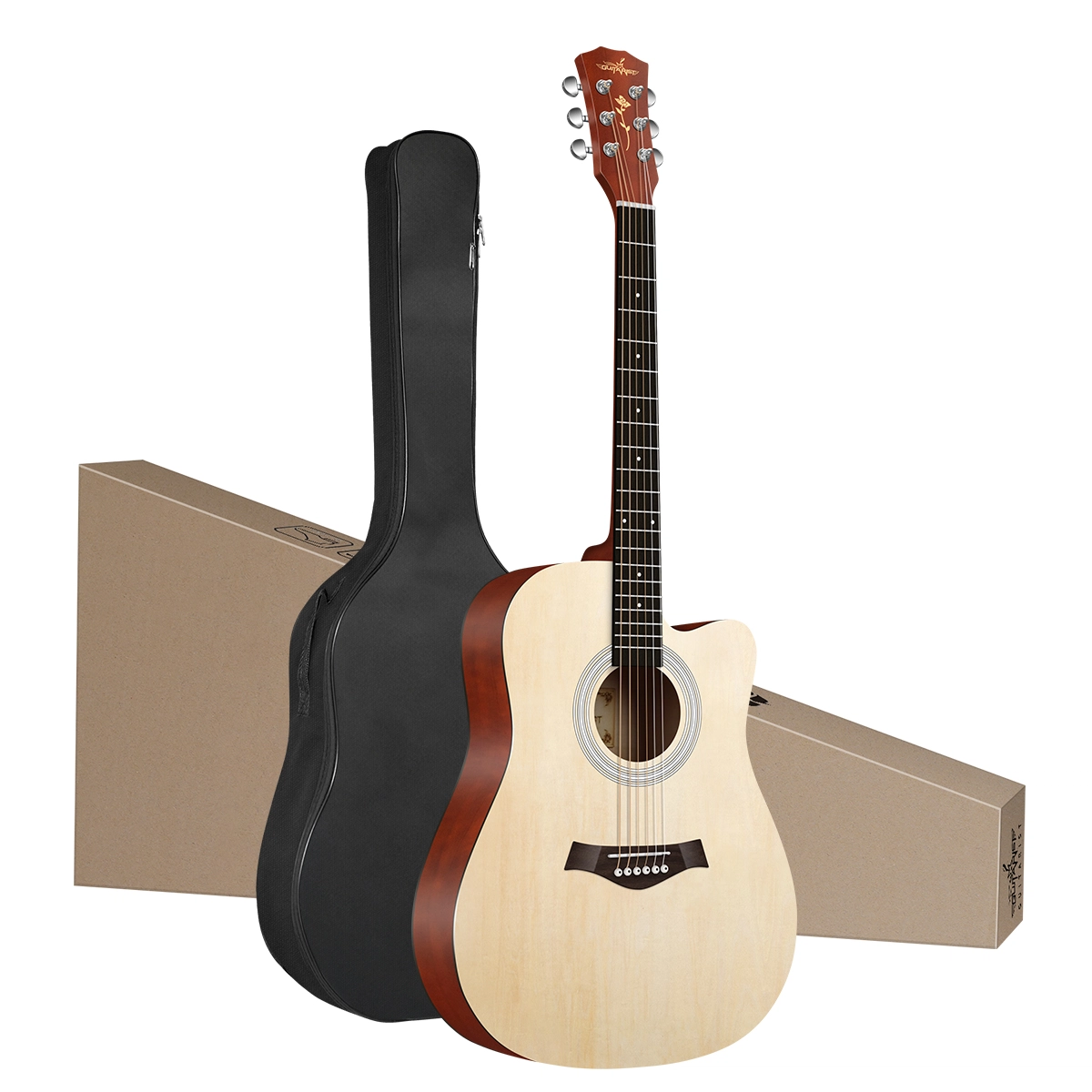 Guitarist V600 3841