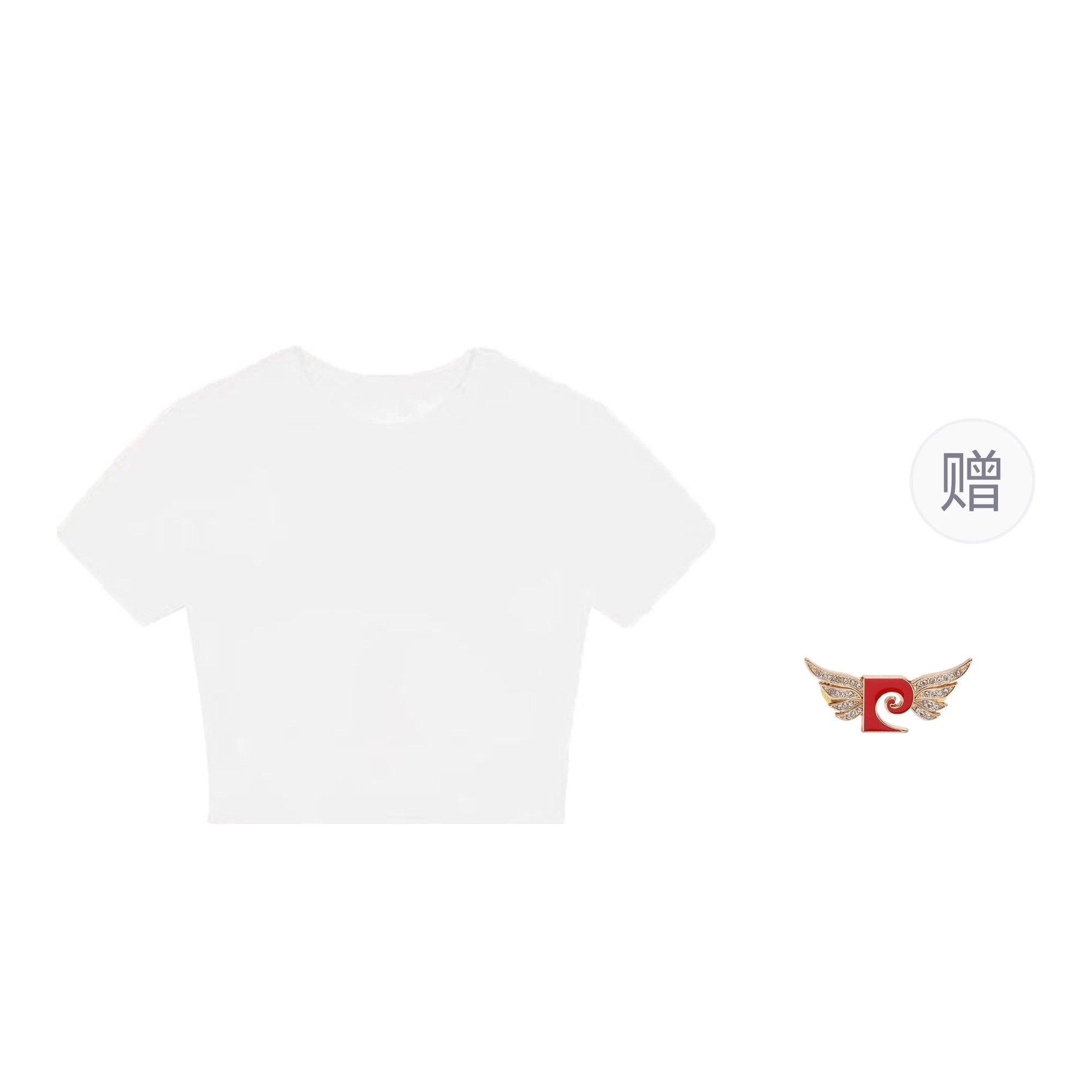 PIERRE CARDIN T
