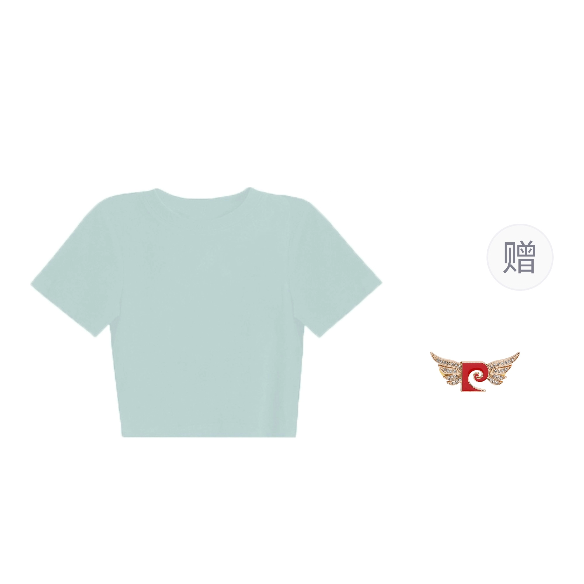PIERRE CARDIN T