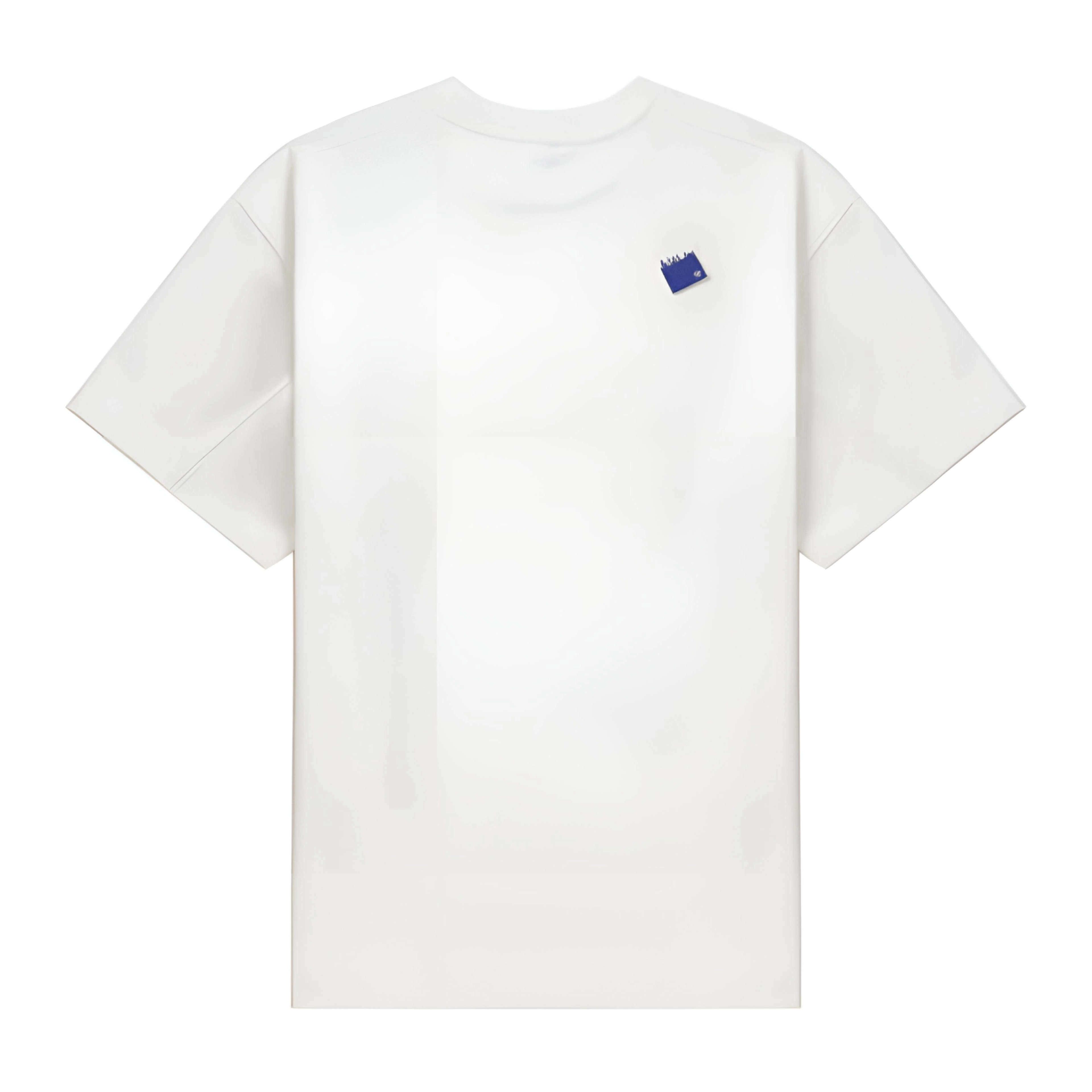 ADER ERROR T