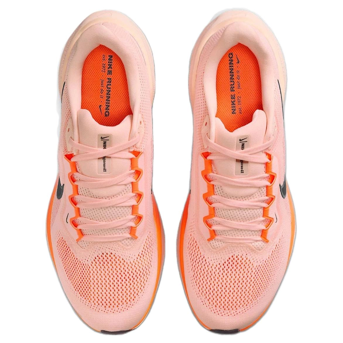 Nike Air Zoom Pegasus 41