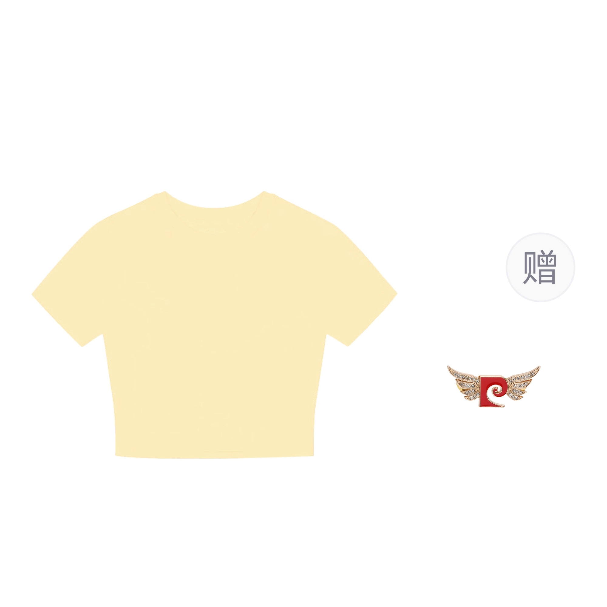 PIERRE CARDIN T