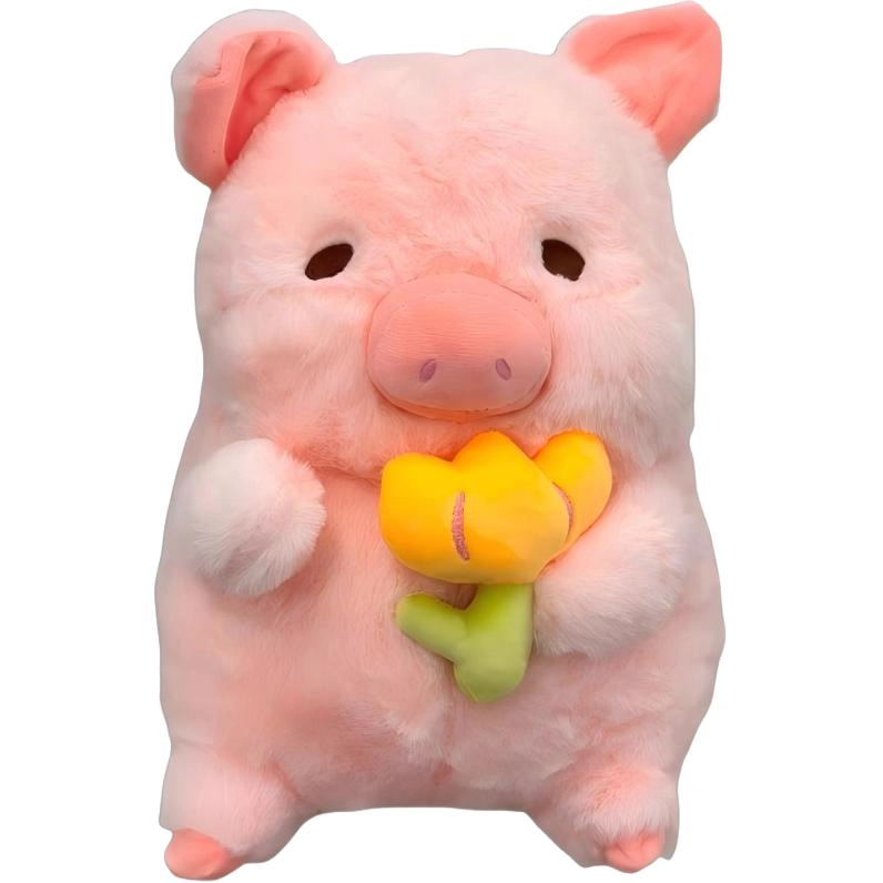 30cm
