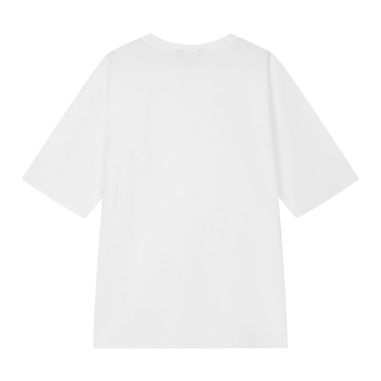 DESCENTE ALLTERRAIN SS25 T