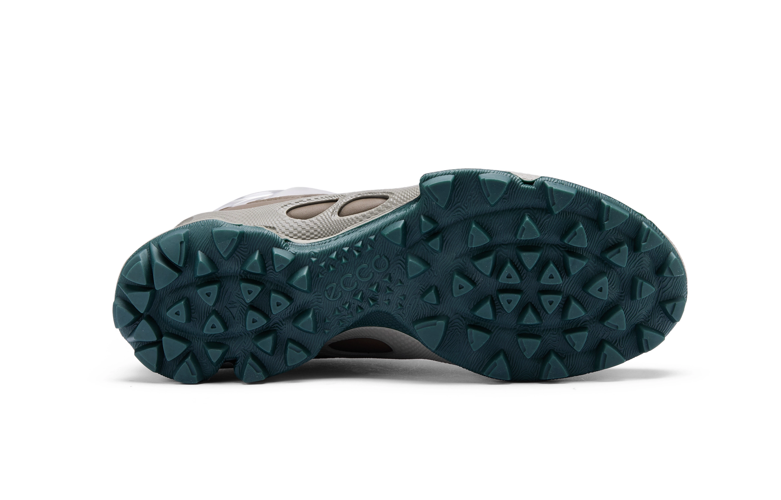 ecco Biom C Trail