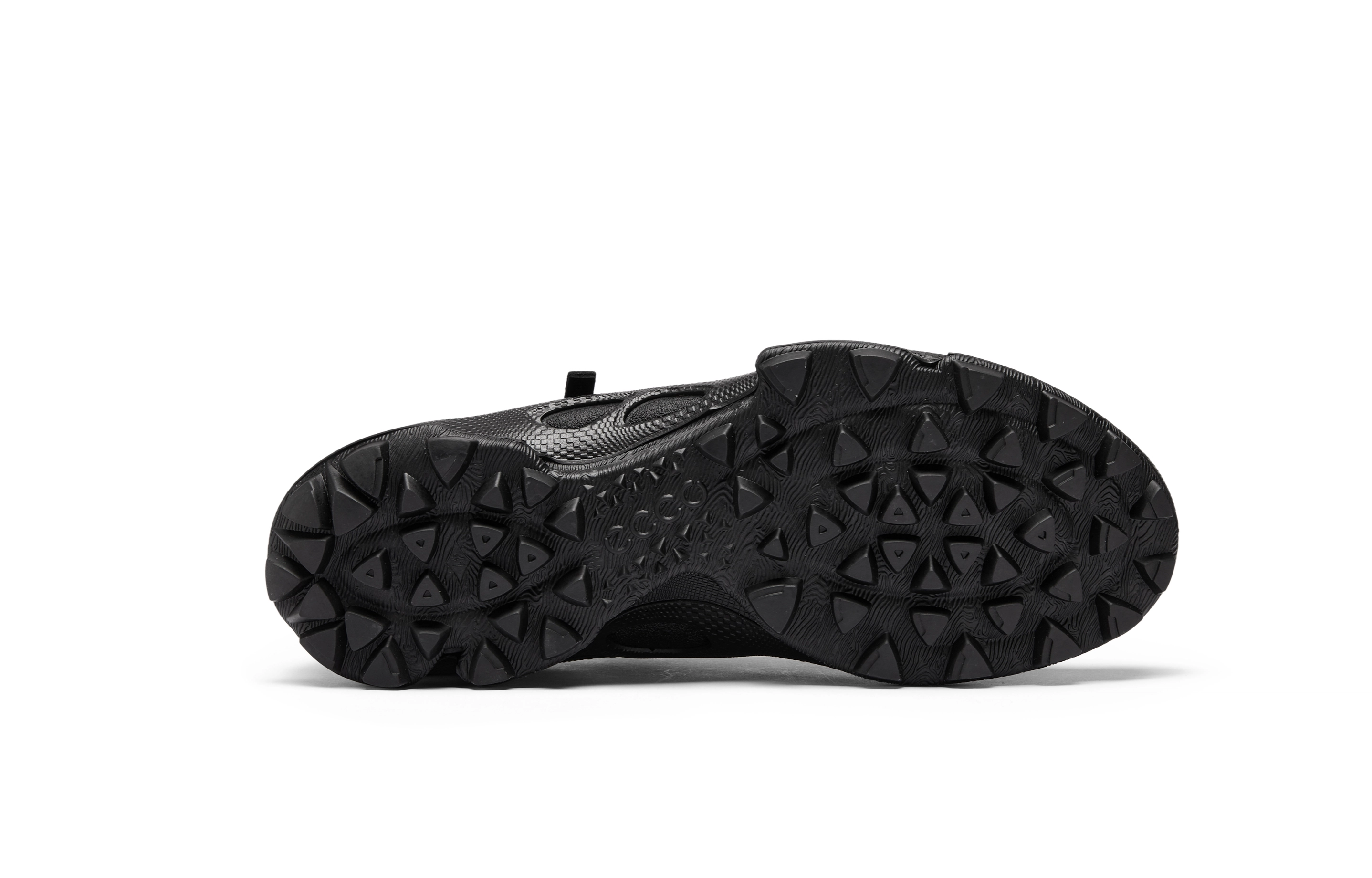 ecco Biom C Trail