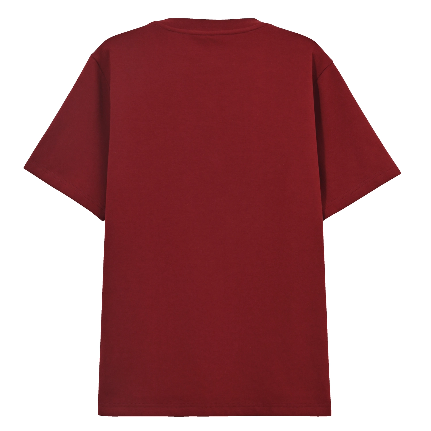 SNBL T