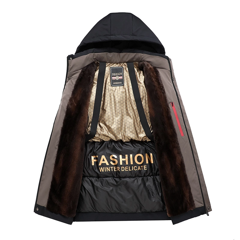 PIERRE CARDIN 2025