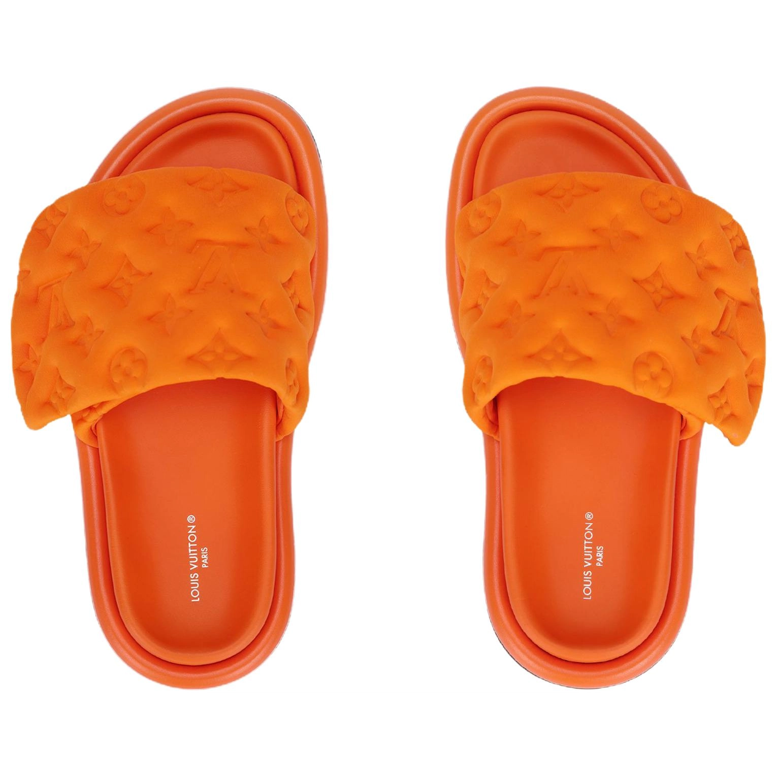 LOUIS VUITTON Pool Pillow Comfort