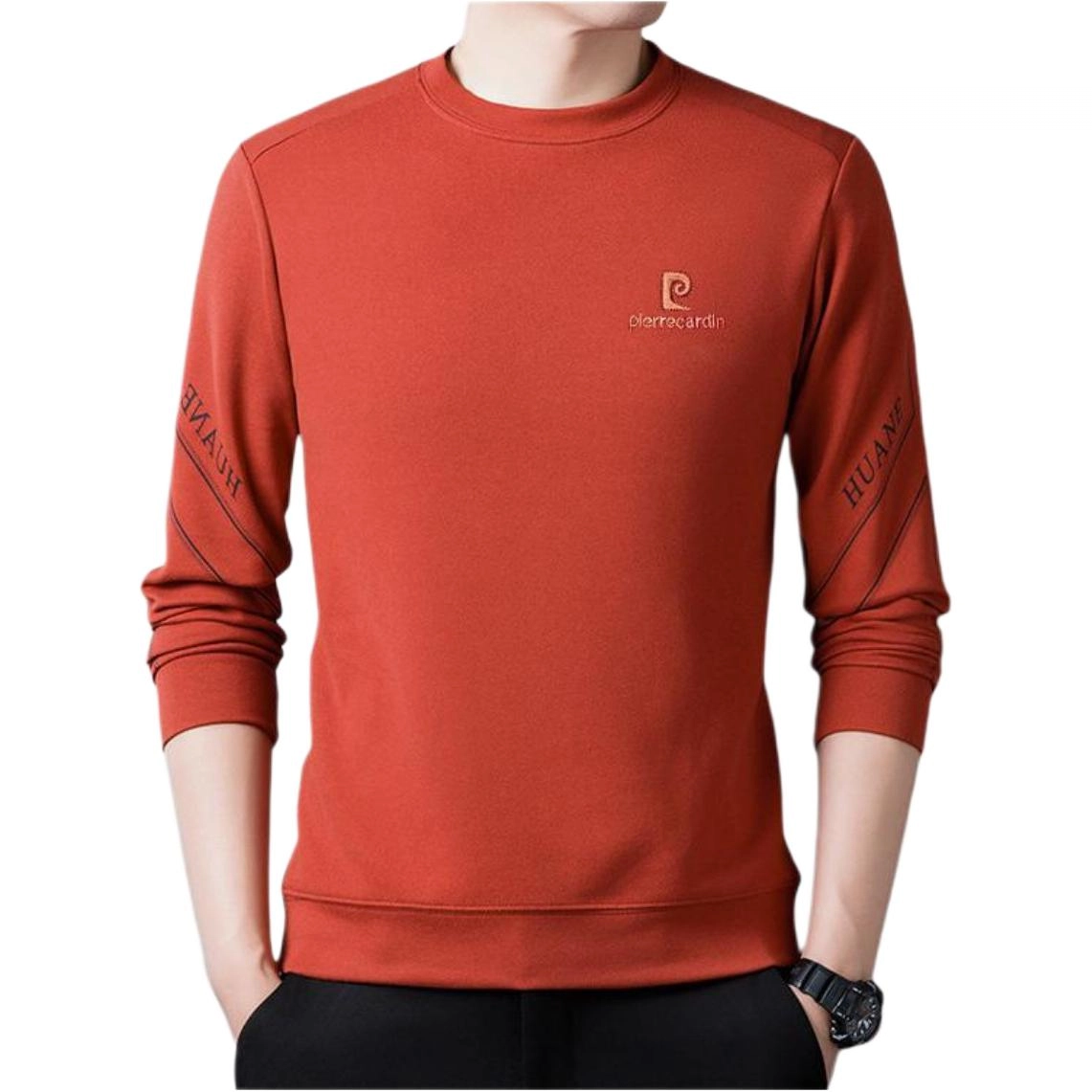 PIERRE CARDIN logo