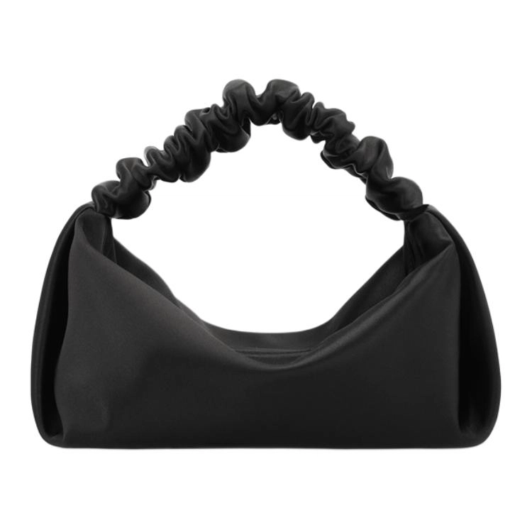 alexander wang scrunchie