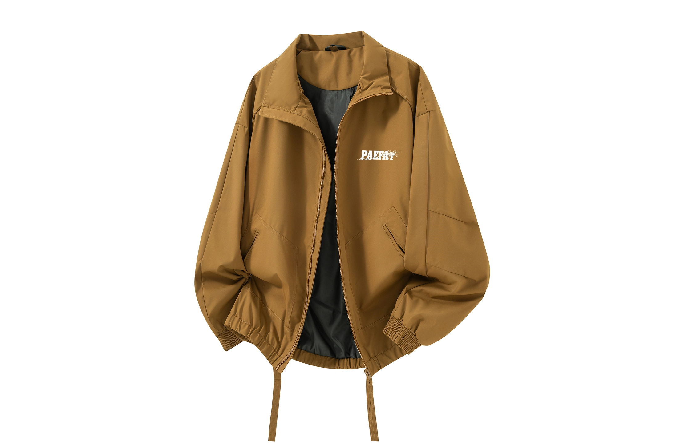 PAEFA logocleanfit