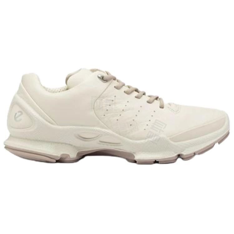 ecco Biom C