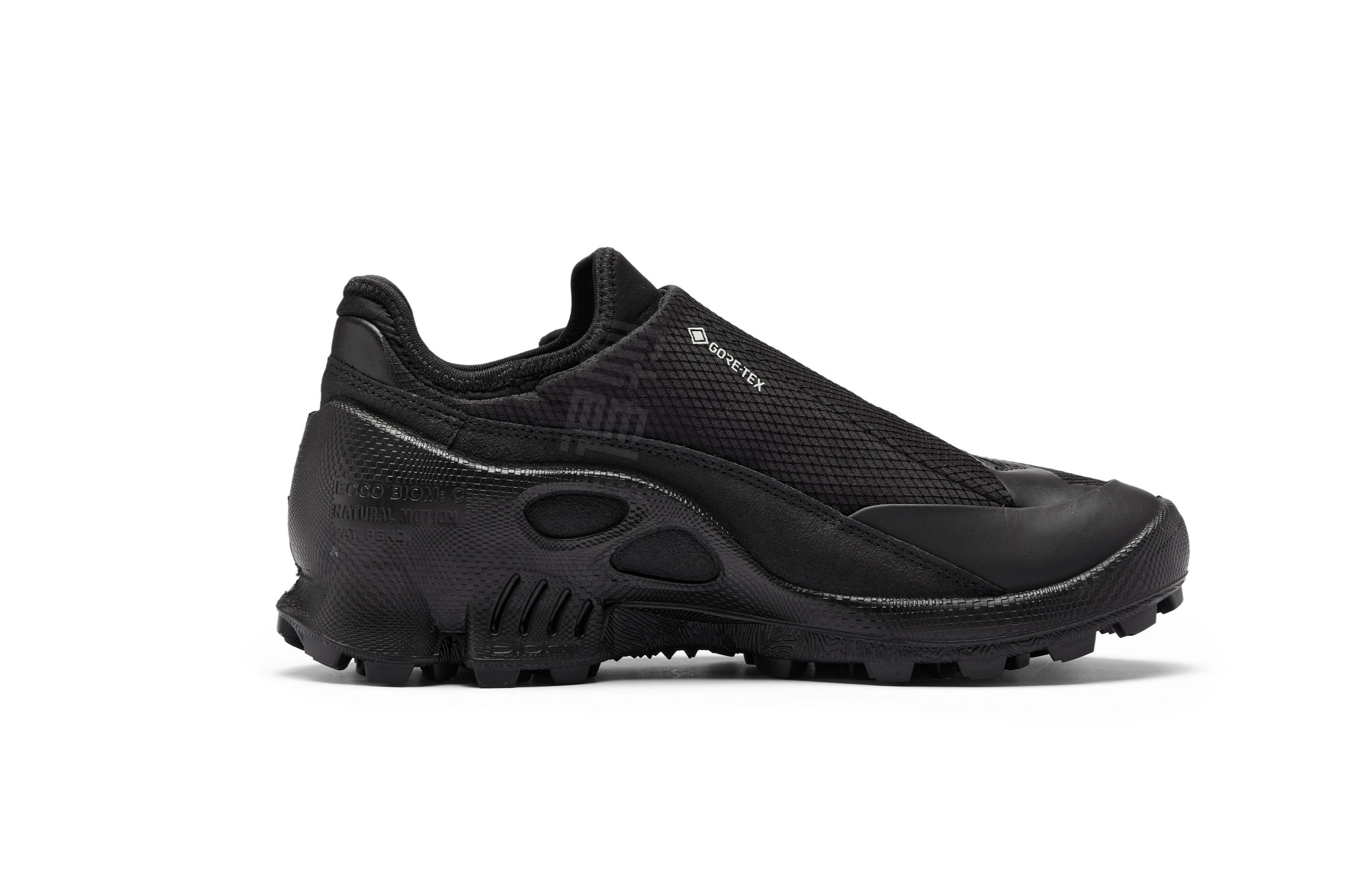 ecco Biom C Trail