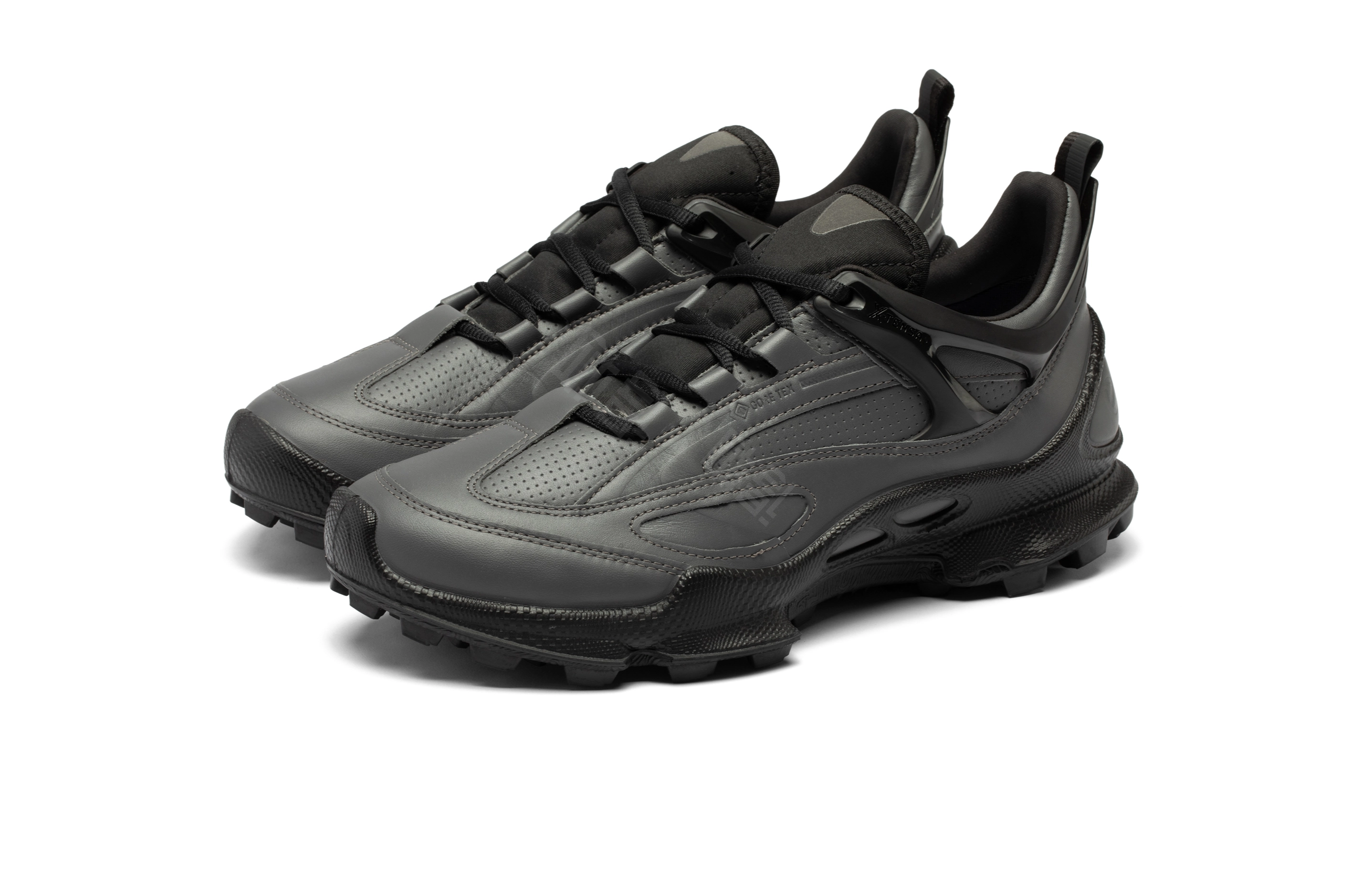 ecco Biom C Trail