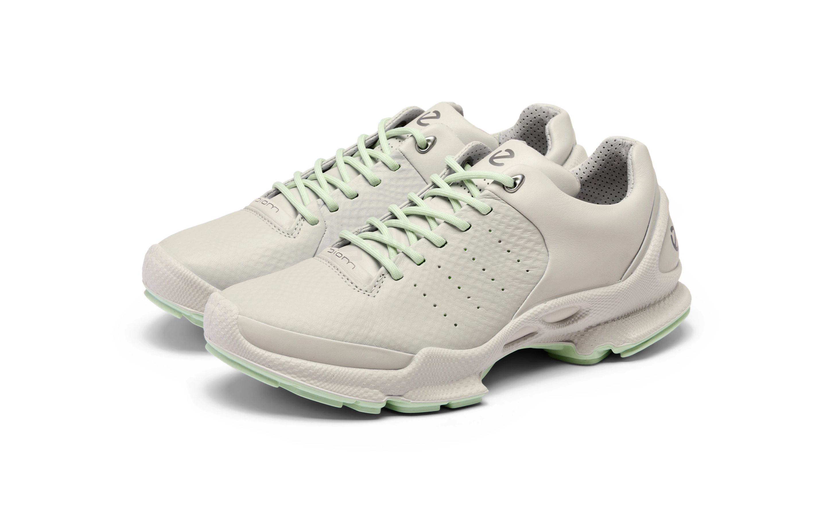 ecco Biom C