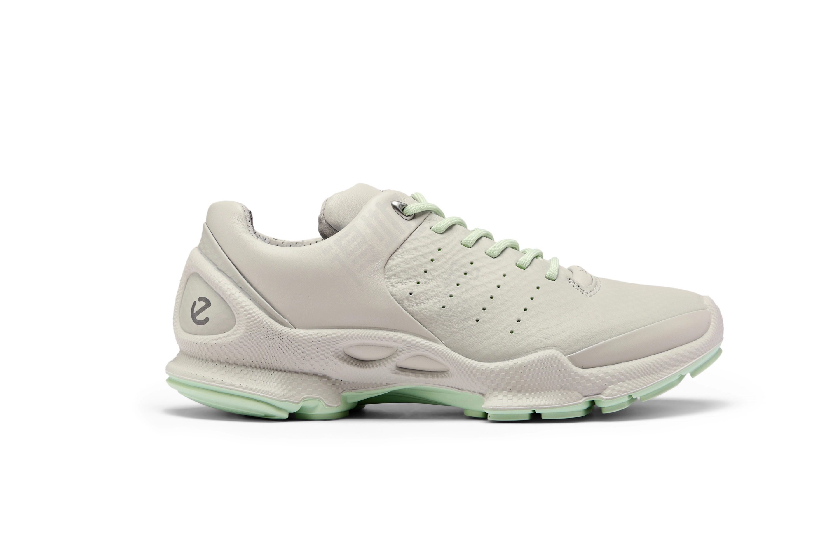 ecco Biom C