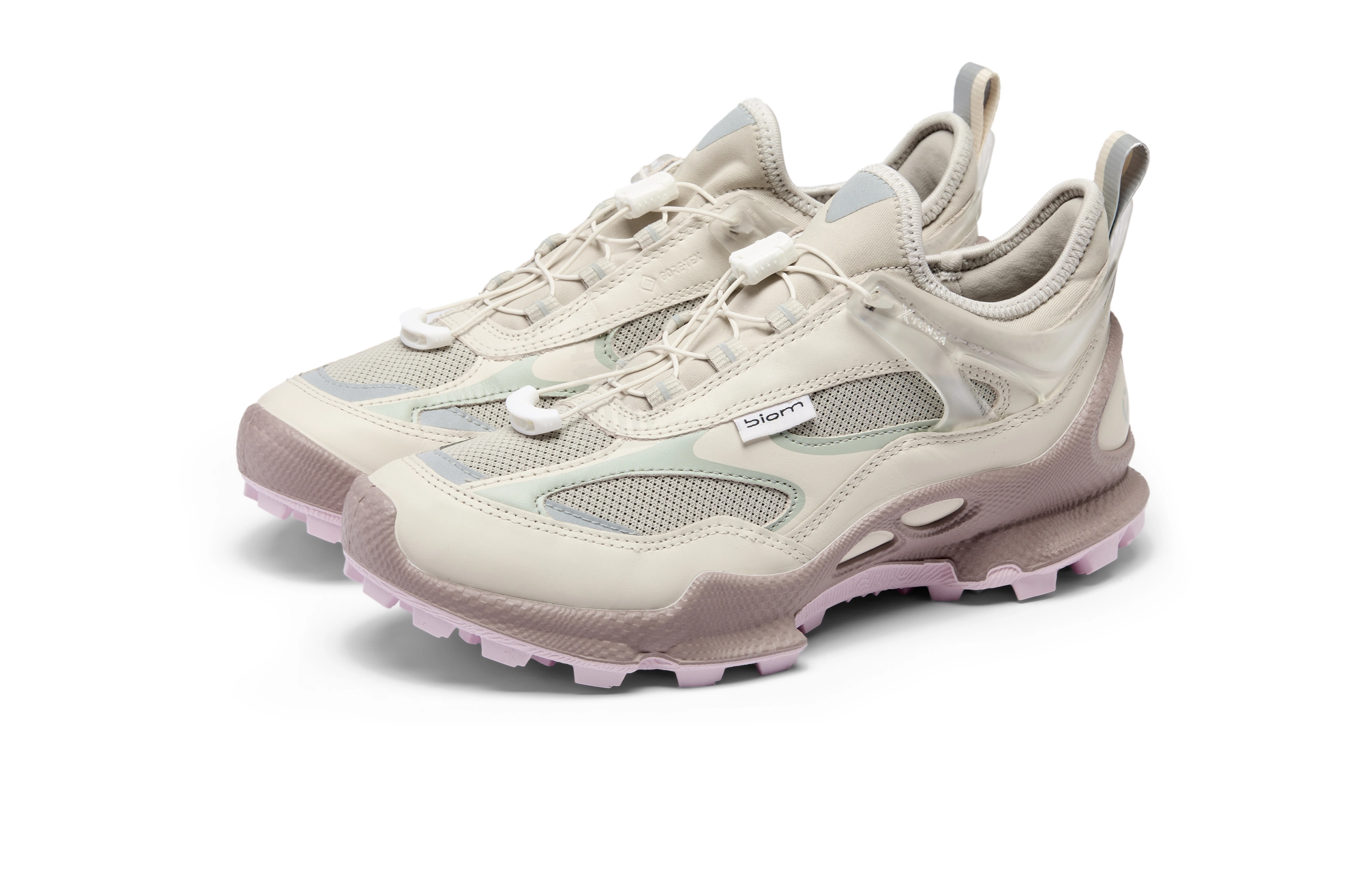 ecco Biom C Trail