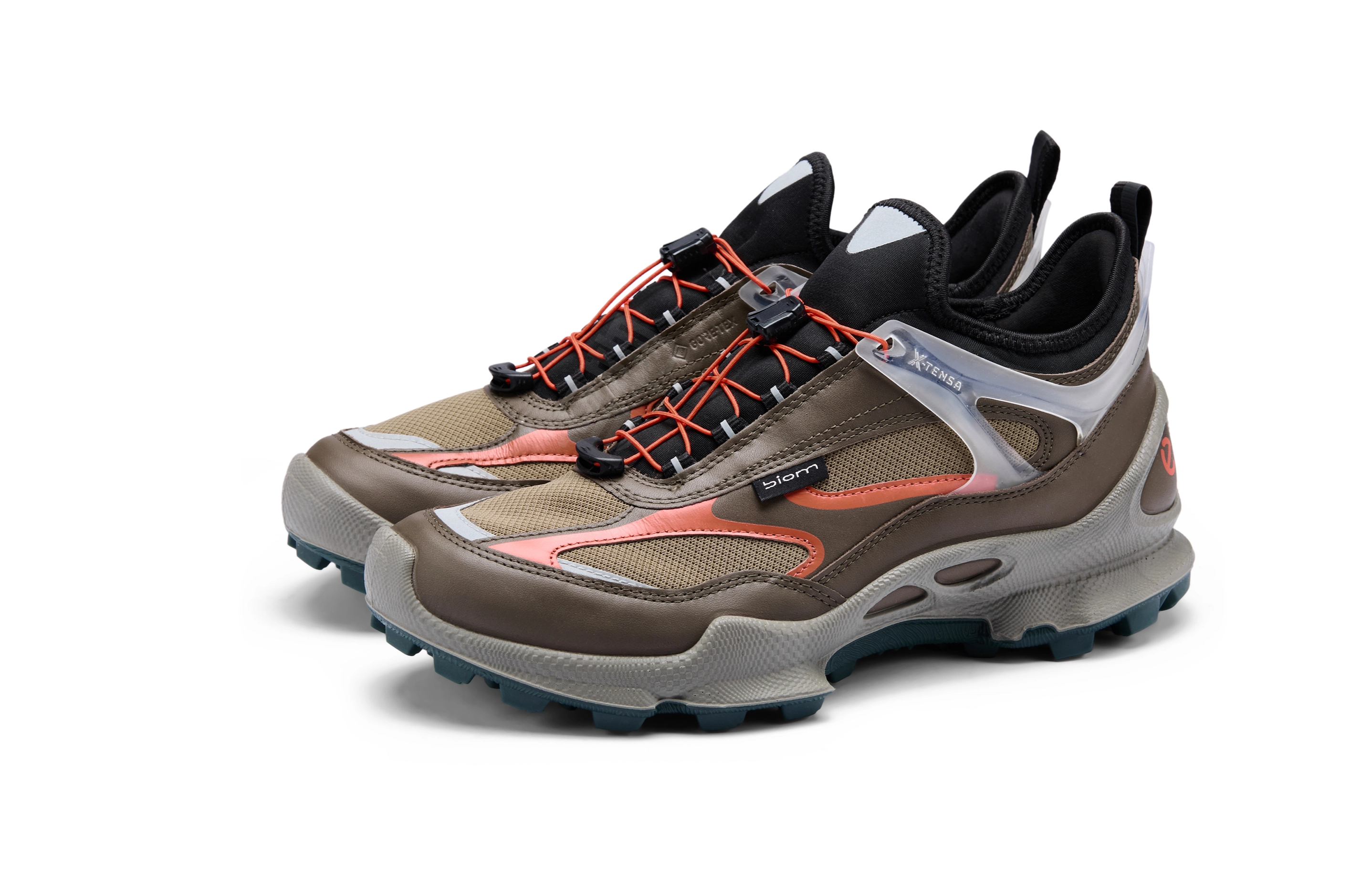 ecco Biom C Trail
