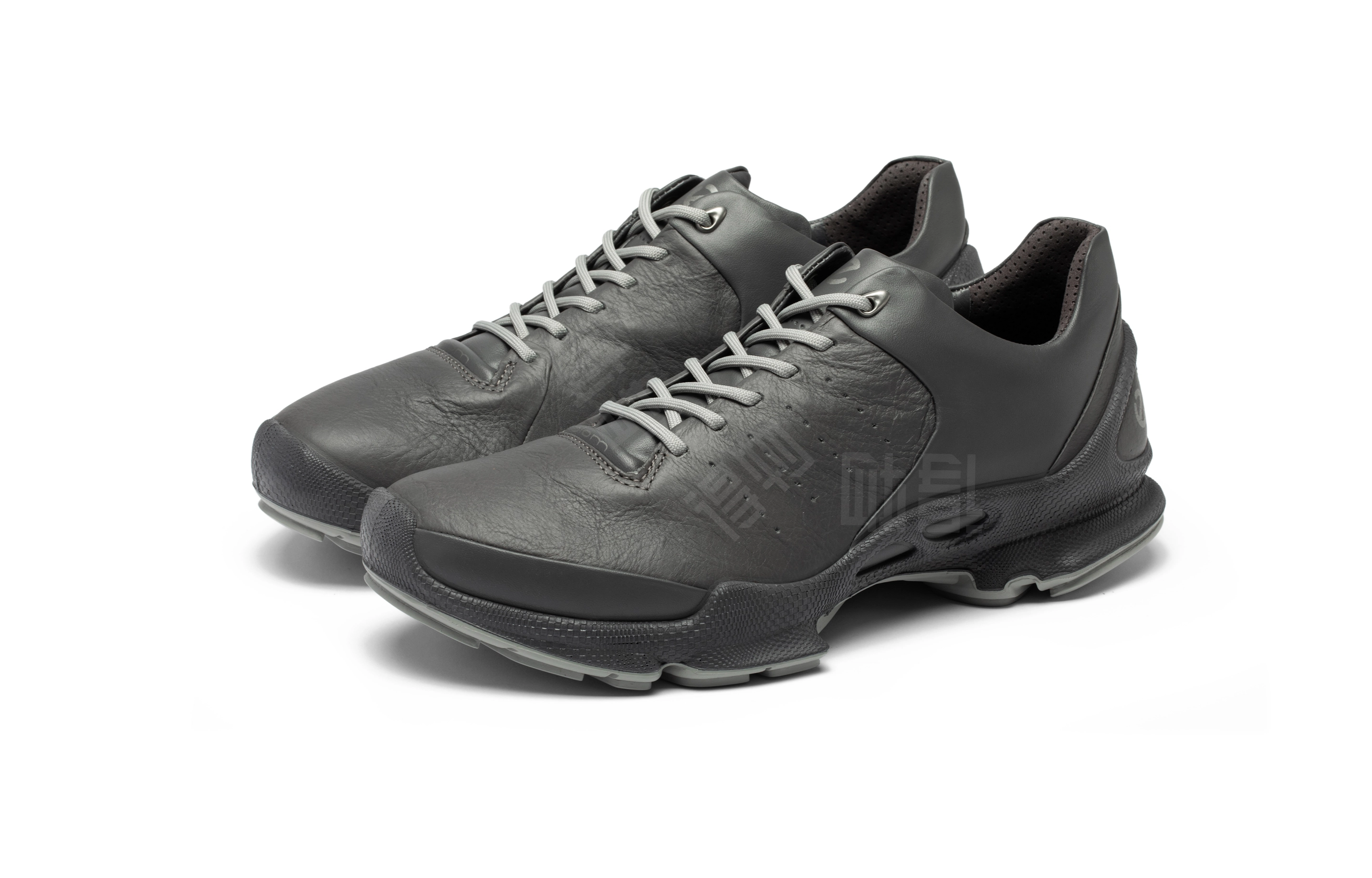 ecco Biom C