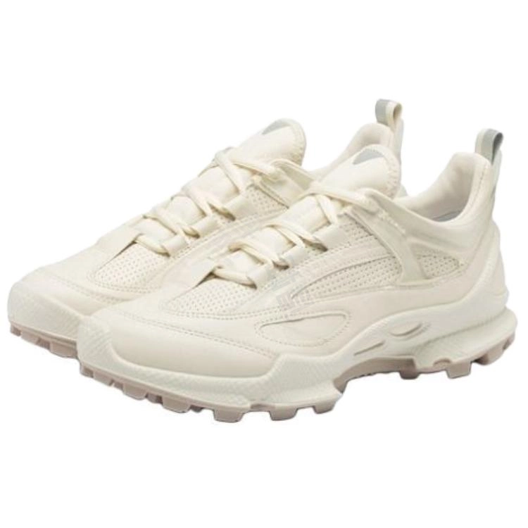 ecco Biom C Trail