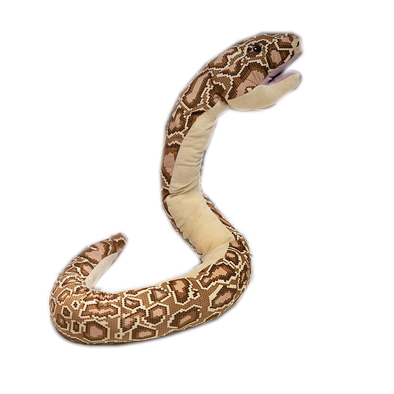 30cm