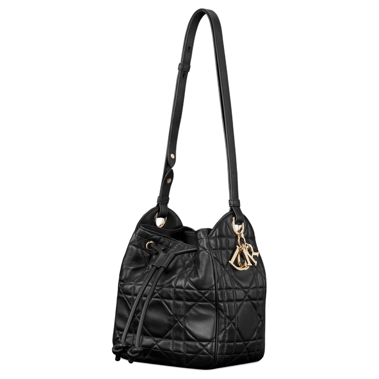 DIOR D-Motion