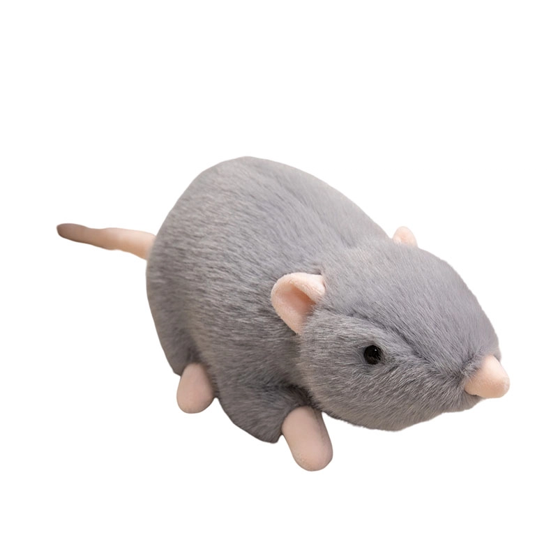 30cm50cm70cm100cm