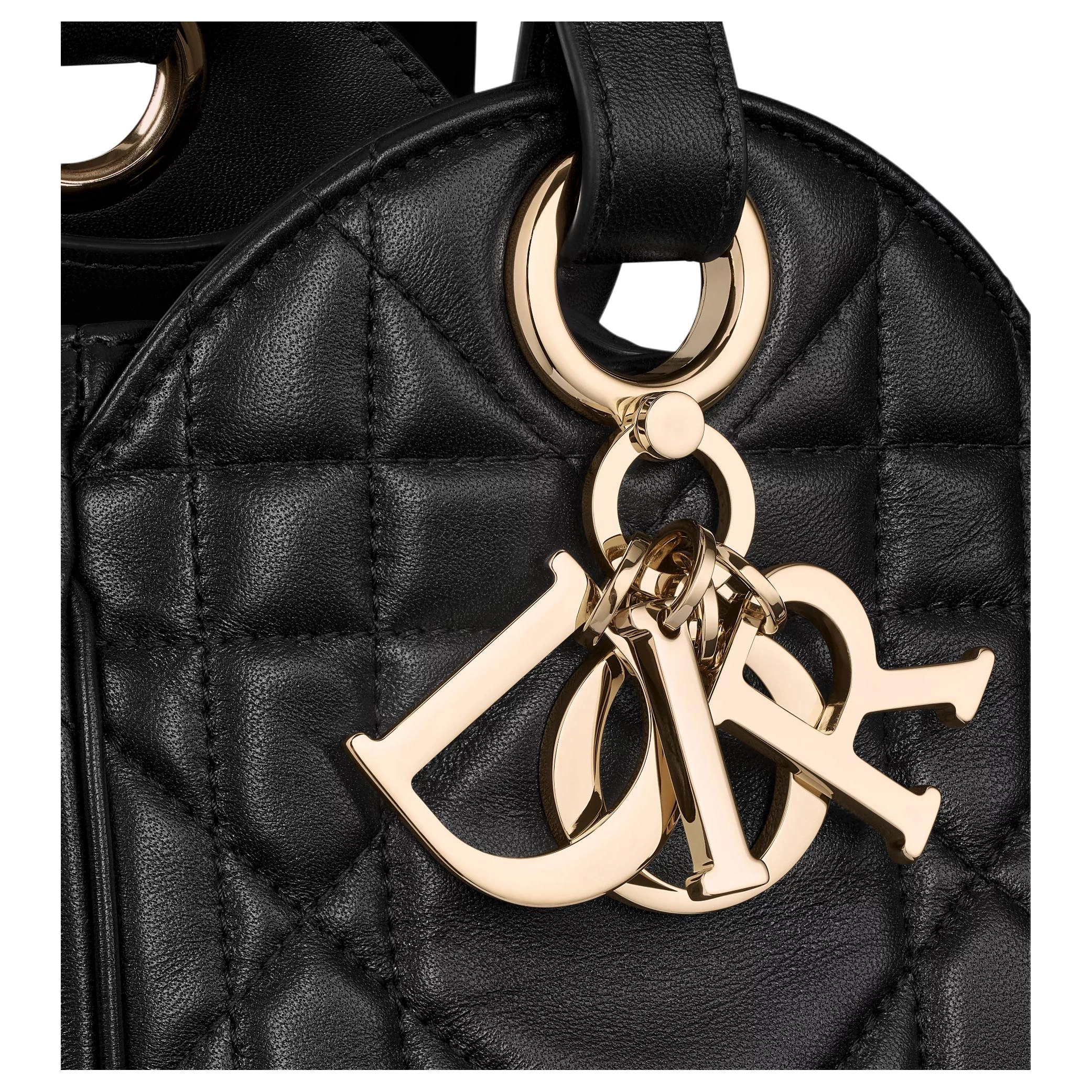 DIOR D-Motion