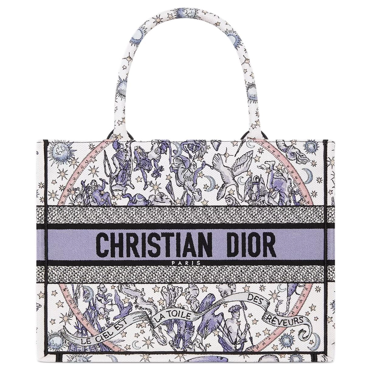 DIOR BookTote Tote