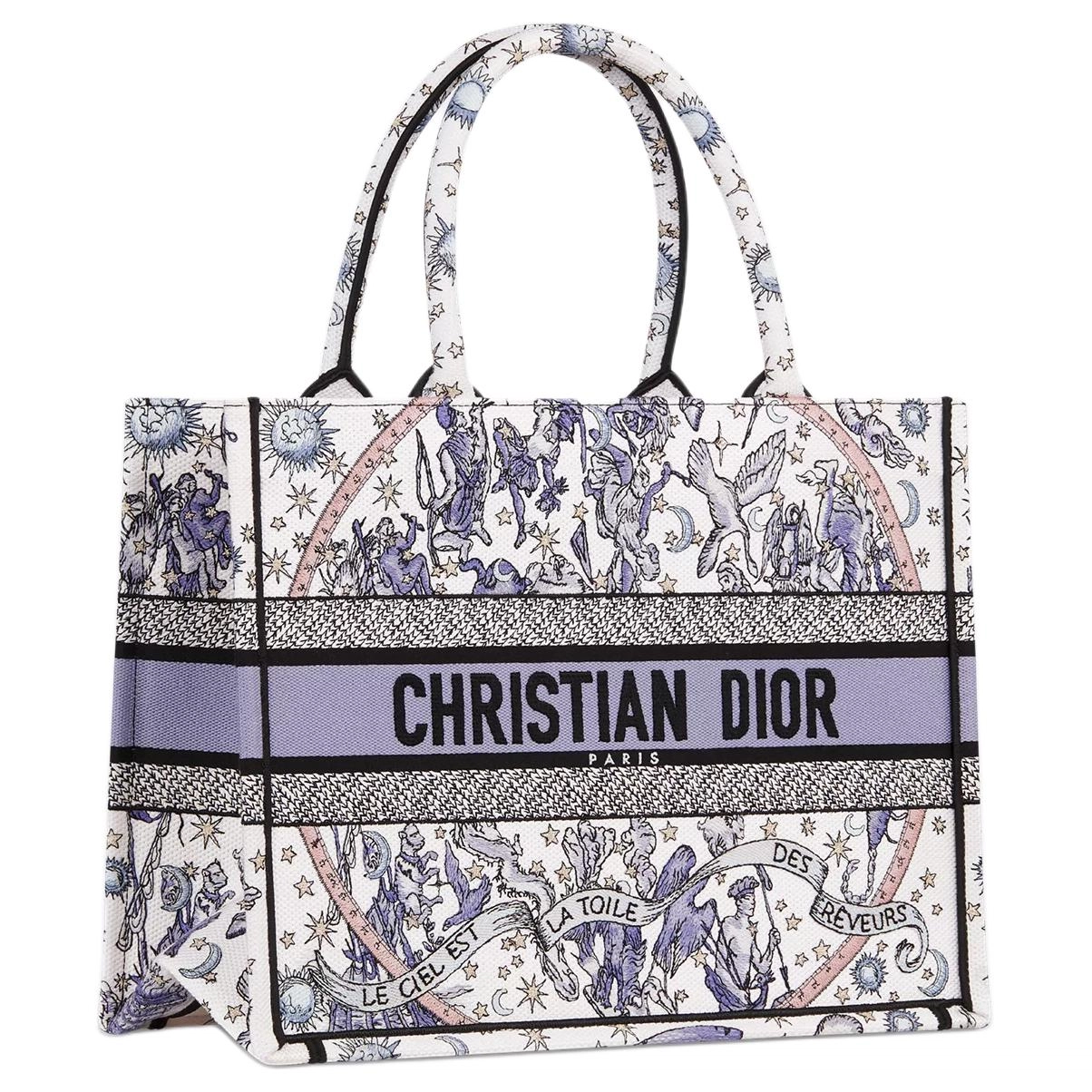 DIOR BookTote Tote