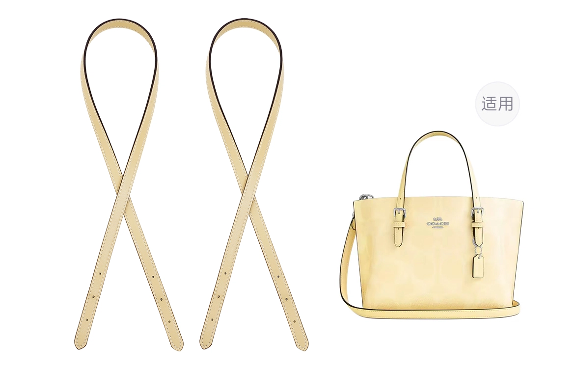 ROSEDAWN COACH Mollie 25Tote diy
