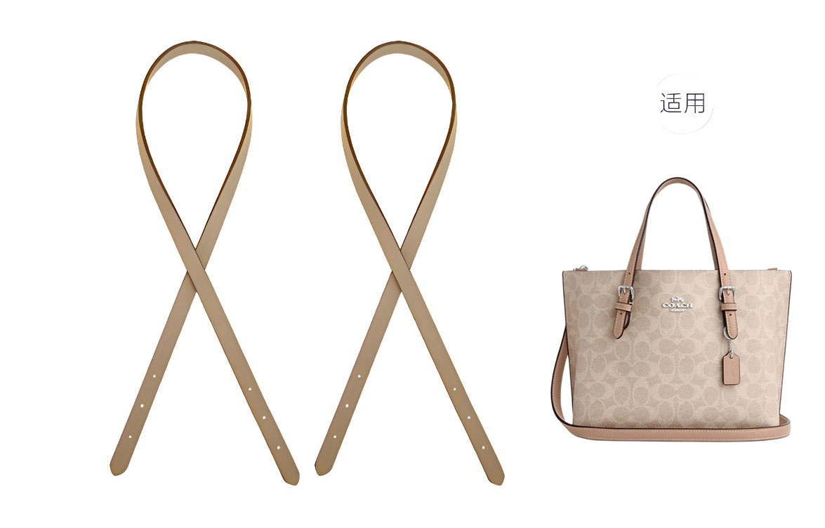 ROSEDAWN COACH Mollie 25Tote diy