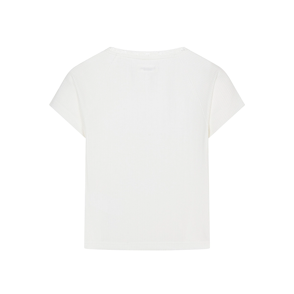 Teenie Weenie bearnova25 T