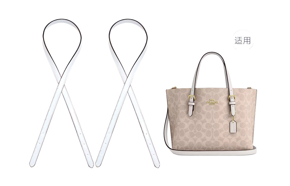 ROSEDAWN COACH Mollie 25Tote diy